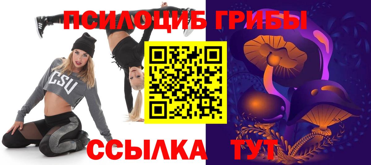Псилоцибиновые грибы Psilocybine cubensis  Вход с VPN  Галлюциногенные грибы Psilocybe  Новочебоксарск 